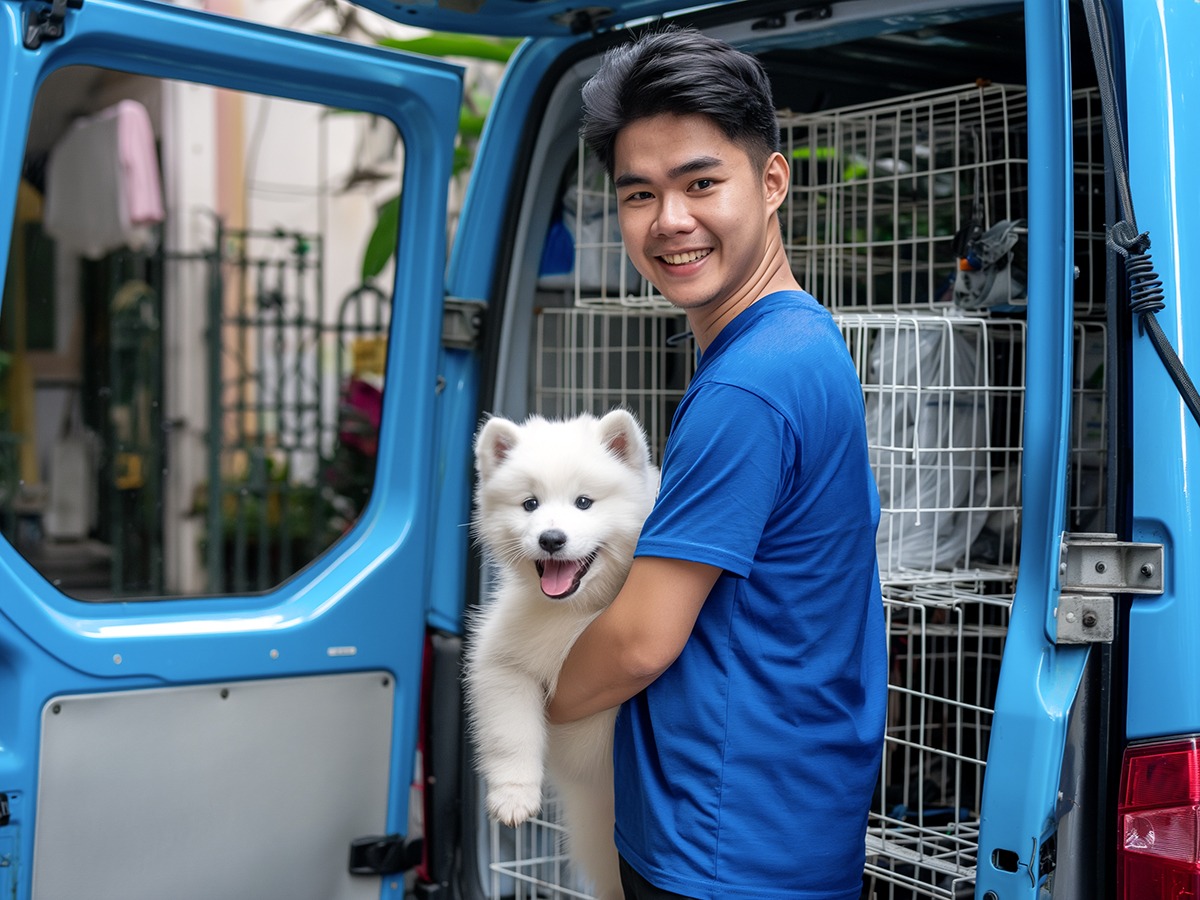 Pet Đi Xe chia sẻ cách gửi chó cưng đi xa an toàn nhanh chóng