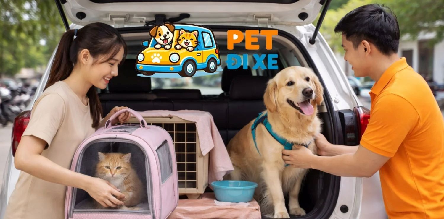 Pet Đi Xe chia sẻ cách gửi chó cưng đi xa an toàn nhanh chóng